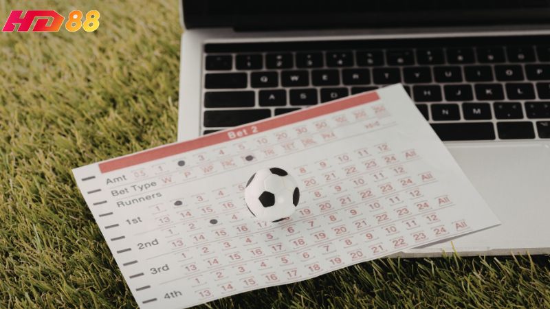 Khi chơi cá cược thể thao cần phải quản lý vốn và tìm hiểu kỹ lưỡng