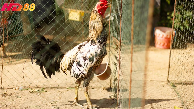 Hãy giữ lịch tập ổn định, không tăng tải một cách đột ngột