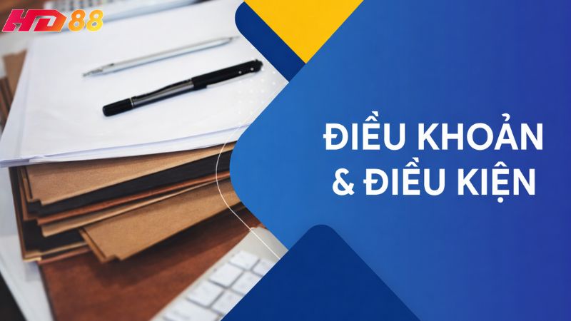 Người chơi cần phải nắm rõ các điều kiện, điều khoản khi chơi